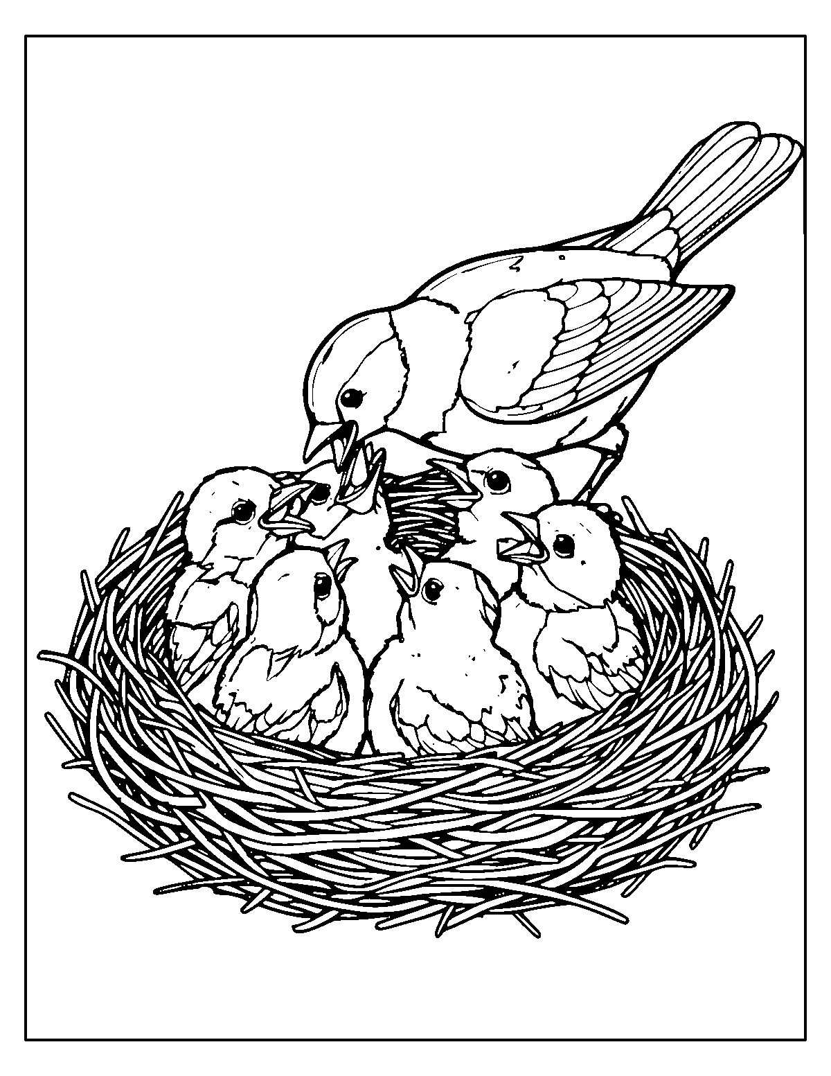 Line-art coloring page of Hungry Chicks Bird, hungry chicks, medium outlines, centered