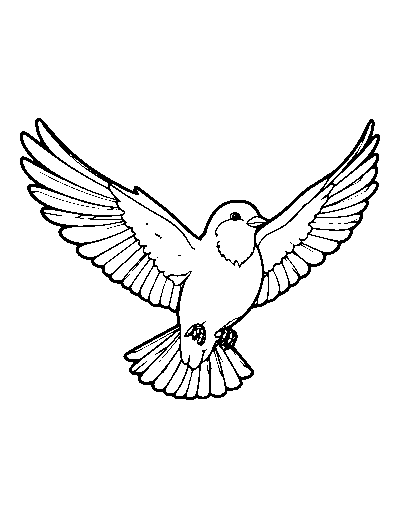 In Flight Bird