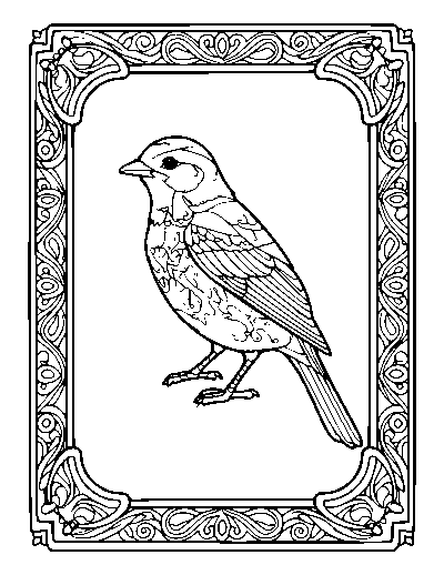 Framed Bird