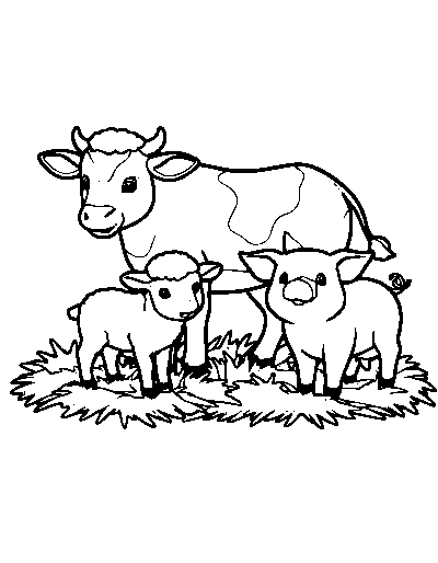 Newborns Farm Animals