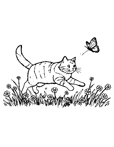 Meadow Chase Cat