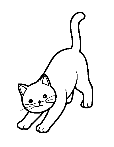 Big Stretch Cat