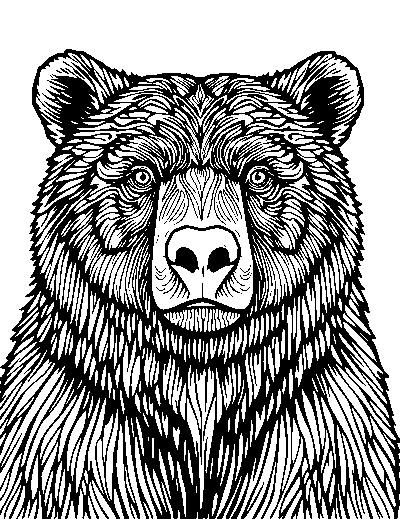 Detailed realistic bear