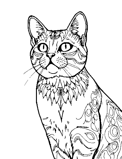 Detailed realistic cat