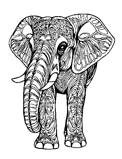 Realistic Elephant