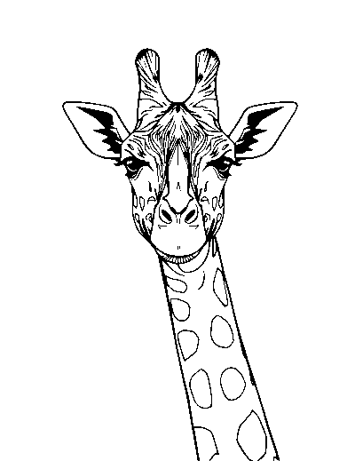 Realistic Giraffe