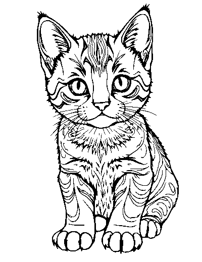 Realistic Kitten