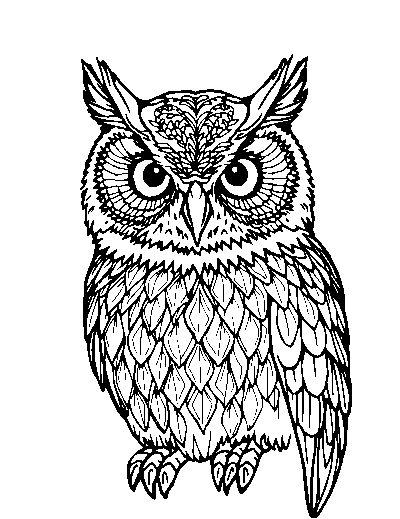 Realistic Owl