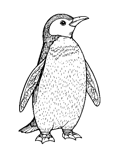 Realistic Penguin