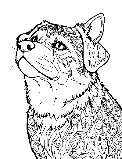 Realistic Pets