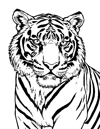 Realistic Tiger