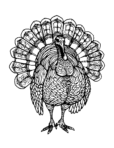 Realistic Turkey