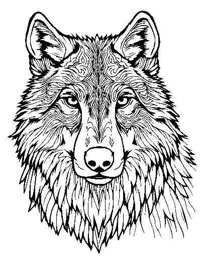 Realistic Wolf