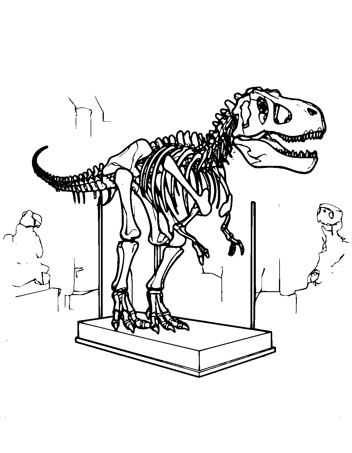 Line-art coloring page of Museum Skeleton Dinosaur, museum skeleton, medium outlines, centered