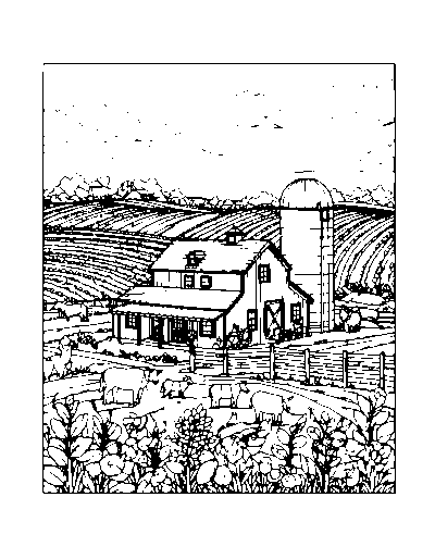 Farmstead Panorama Farm Animals