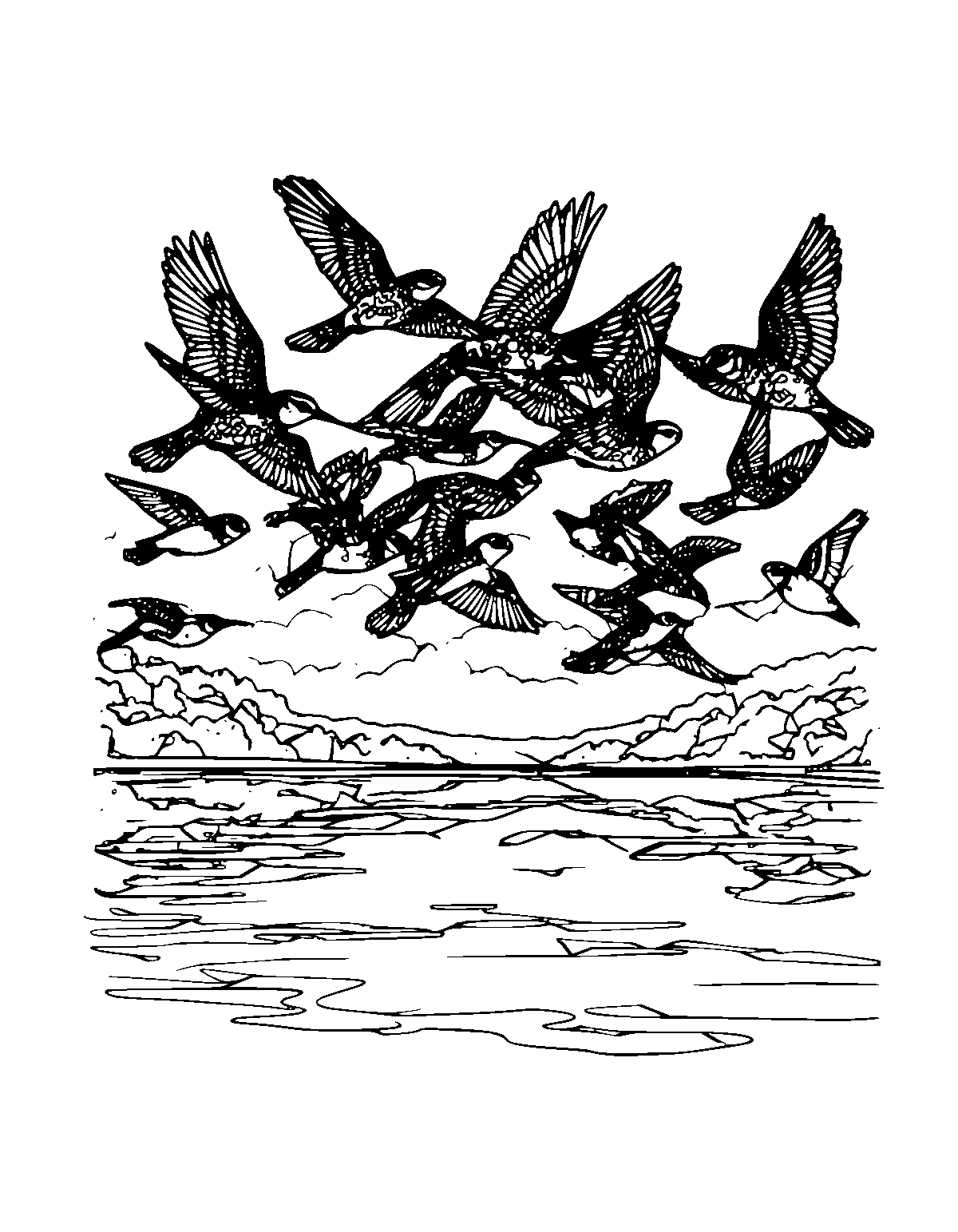 Line-art coloring page of Flock Bird, flock, medium outlines, centered