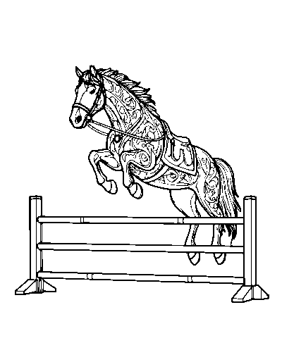 Show Jumping Horse