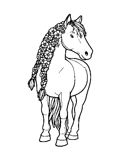 Flower Braids Horse
