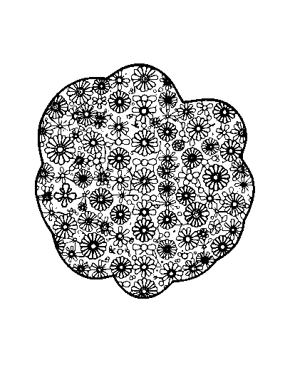 Patterned Custom Coloring Book