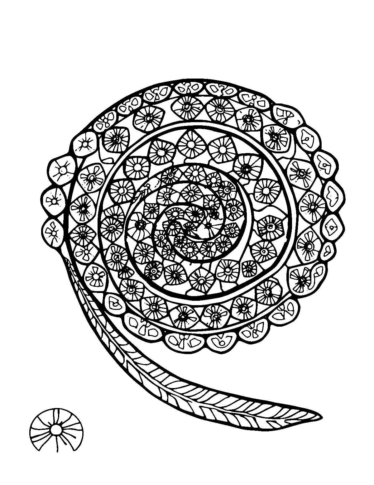 Line-art coloring page of Patterned Maori Koru Spiral, patterned, medium outlines, centered