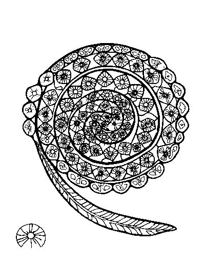 Patterned Maori Koru Spiral