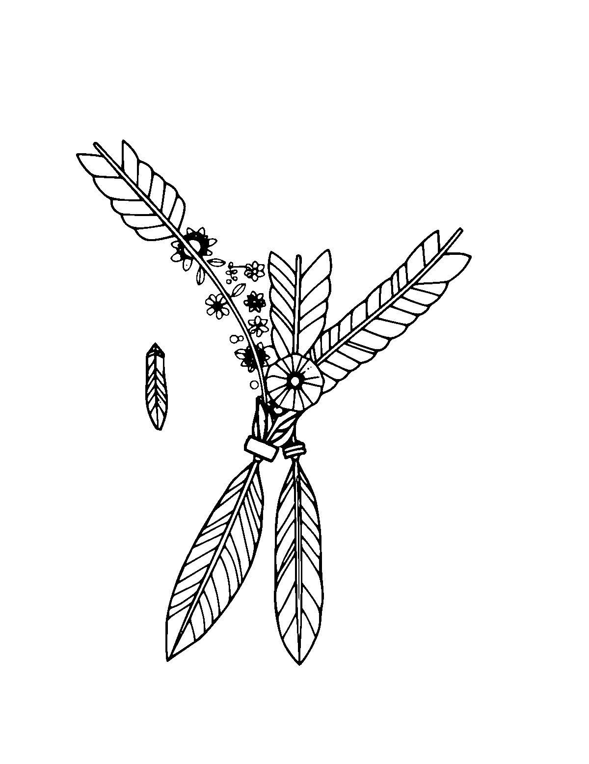 Line-art coloring page of Patterned Native American Peace Pipe and Feathers, patterned, medium outlines, centered