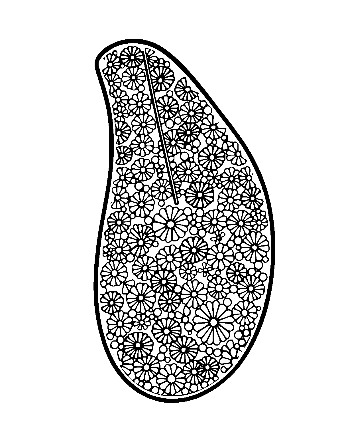 Line-art coloring page of Patterned Pan Flute, patterned, medium outlines, centered