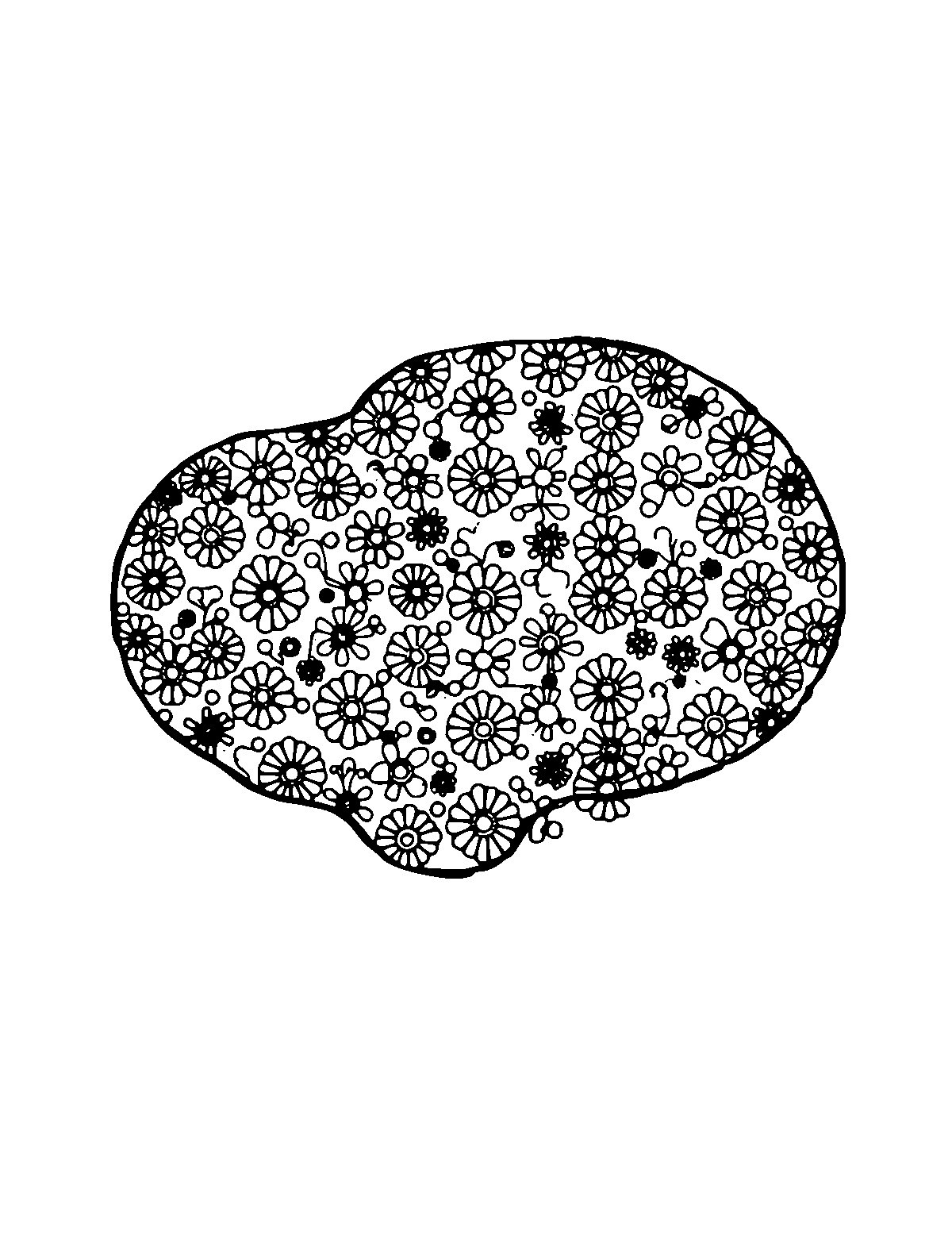 Line-art coloring page of Patterned Scared, patterned, medium outlines, centered