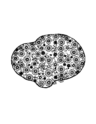 Patterned Scared