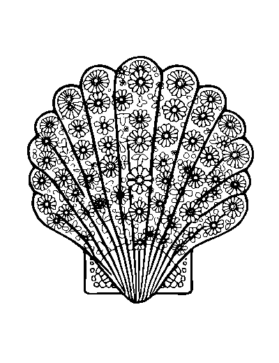 Patterned Seashell