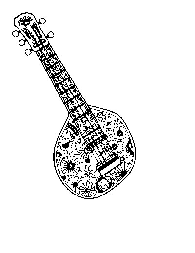 Patterned Shamisen