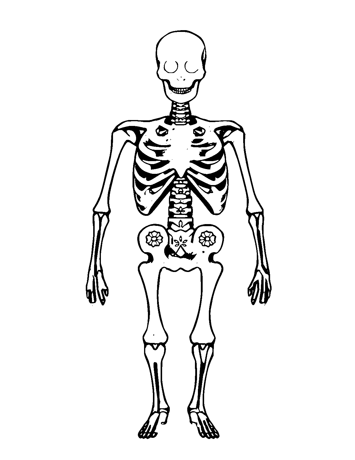 Line-art coloring page of Patterned Skeletal System, patterned, medium outlines, centered