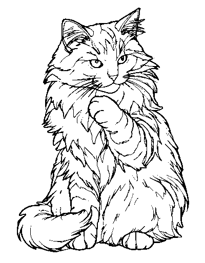 Fluffy Grooming Cat