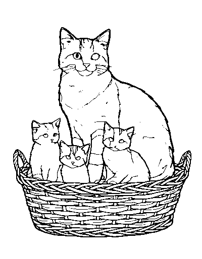 Kitten Family Cat