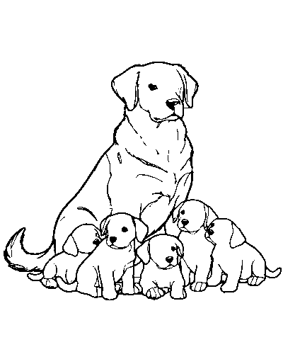 Puppy Litter Dog