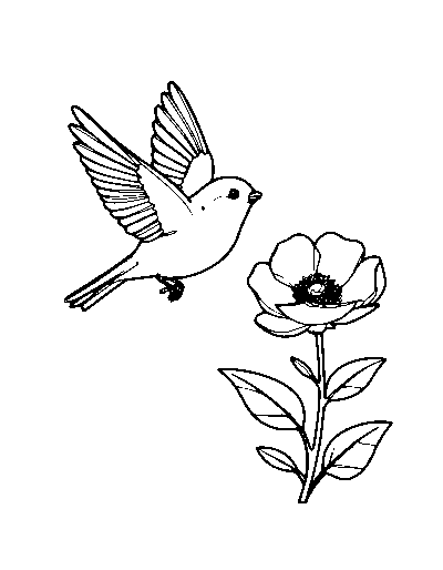 Hovering Bird