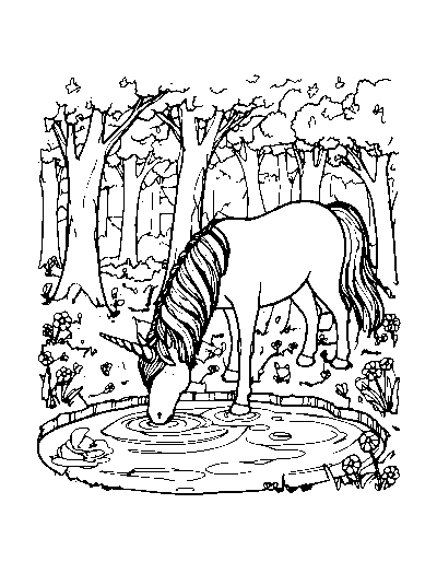 Forest Pond Unicorn