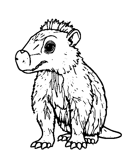Aardvark