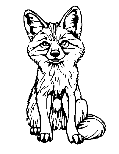 Aardwolf