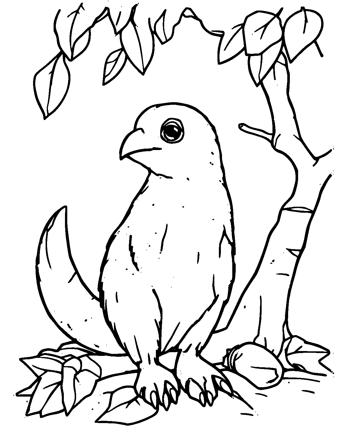 Line-art coloring page of Agouti, medium outlines, centered