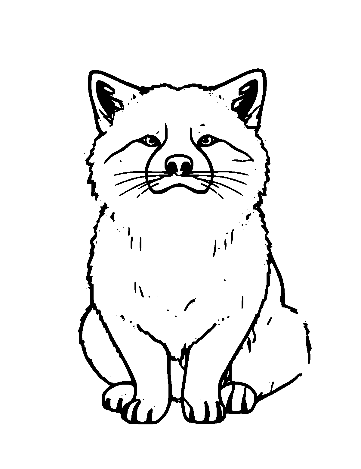Line-art coloring page of Akita, medium outlines, centered