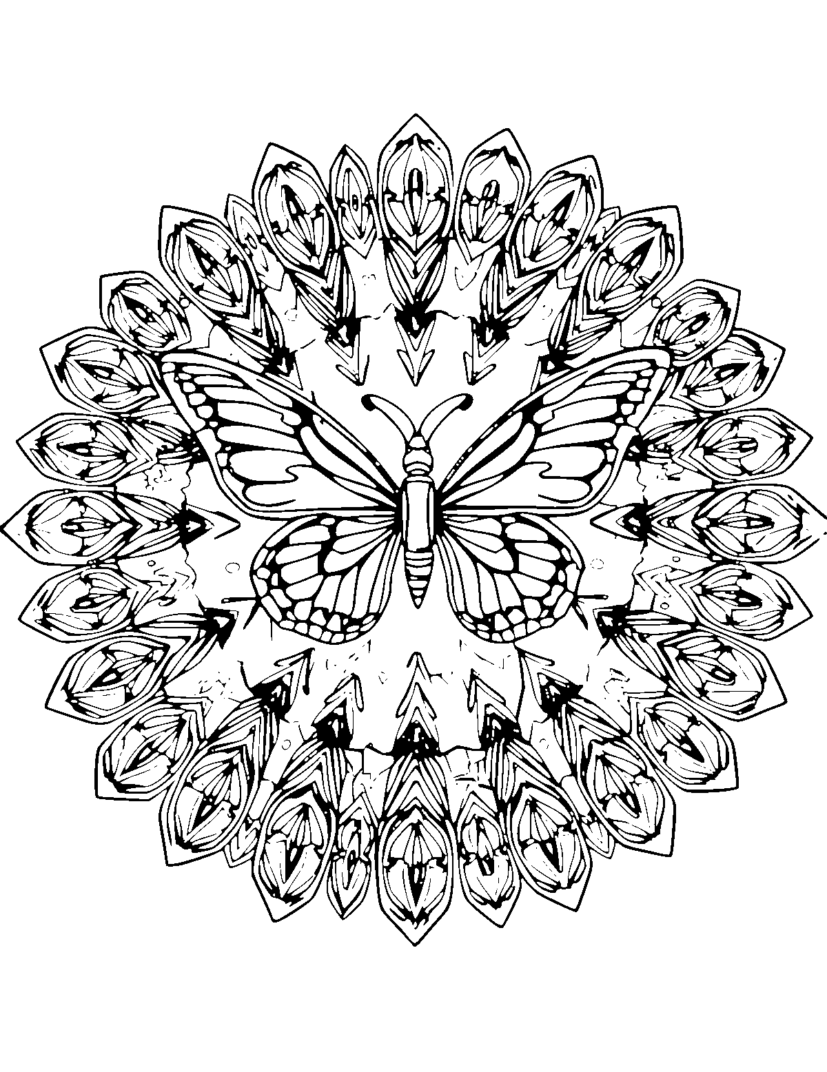Line-art coloring page of Butterfly Mandala, mandala, fine outlines, centered
