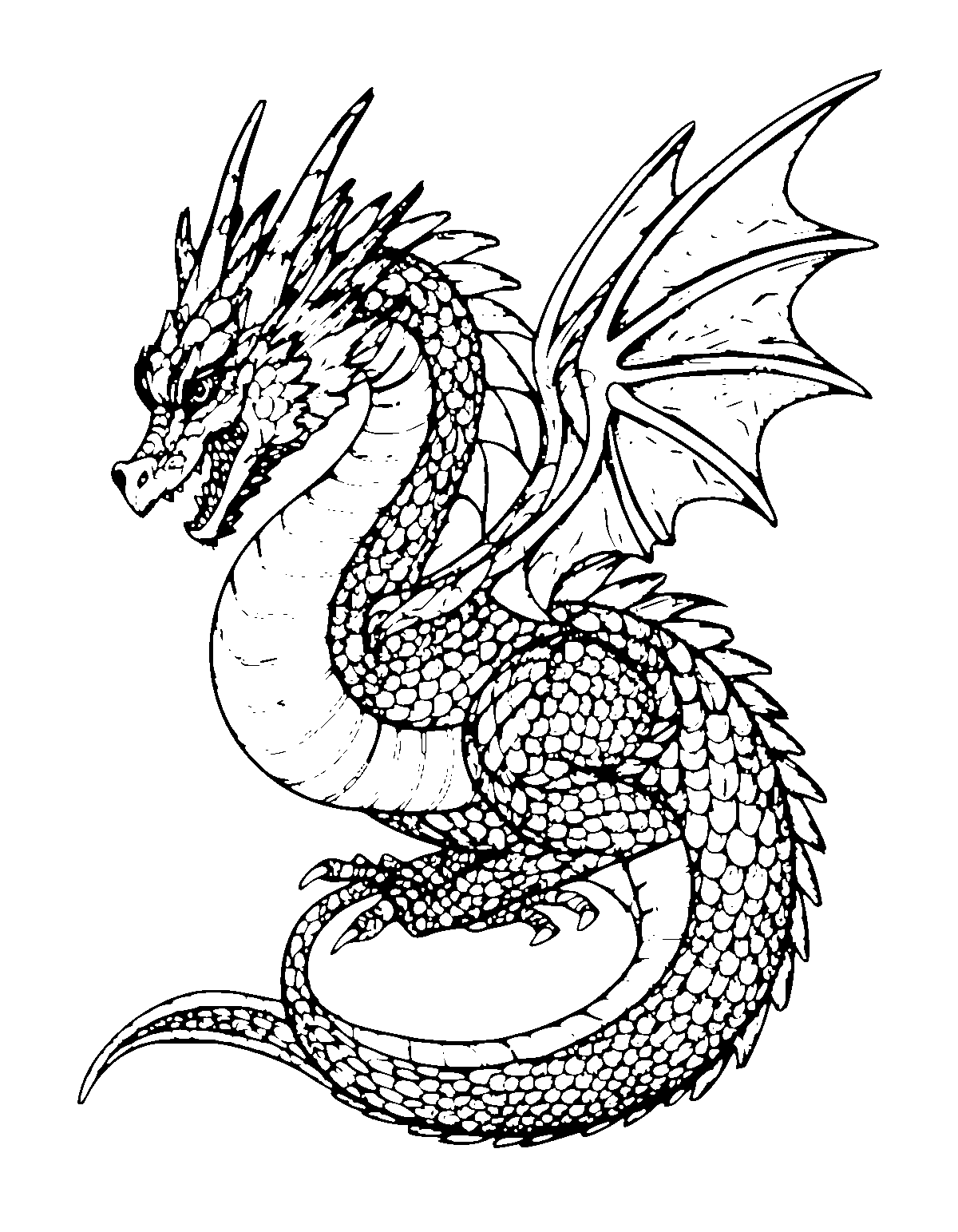 Line-art coloring page of Zentangle Dragon, zentangle, medium outlines, centered