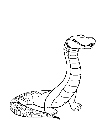 Anaconda