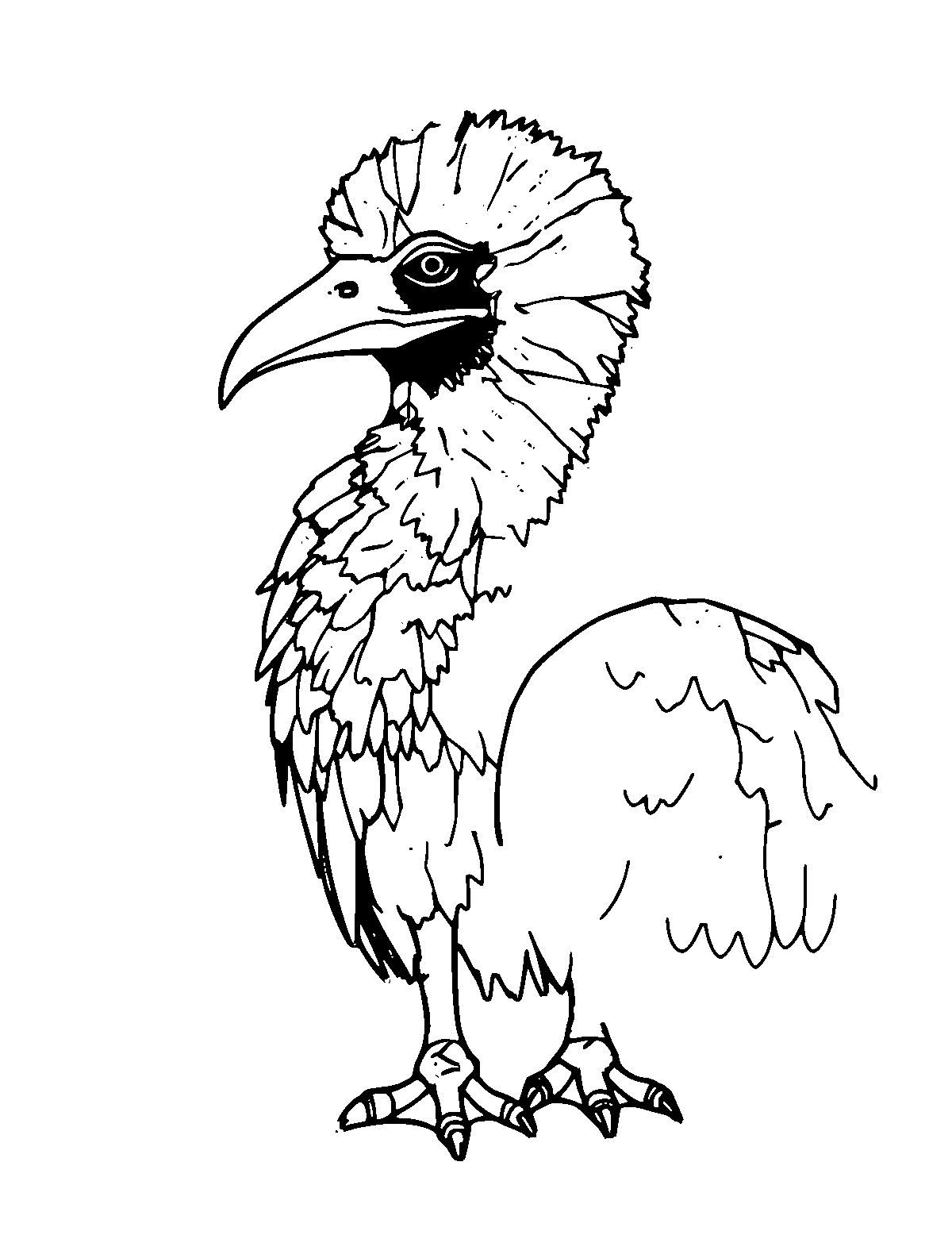 Line-art coloring page of Andean Condor, medium outlines, centered