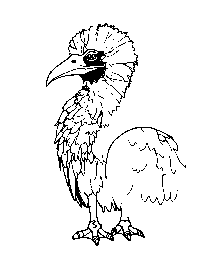 Andean Condor