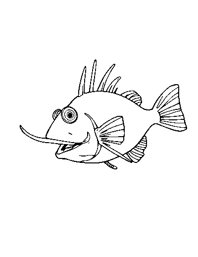 Anglerfish
