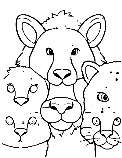 Animal Faces