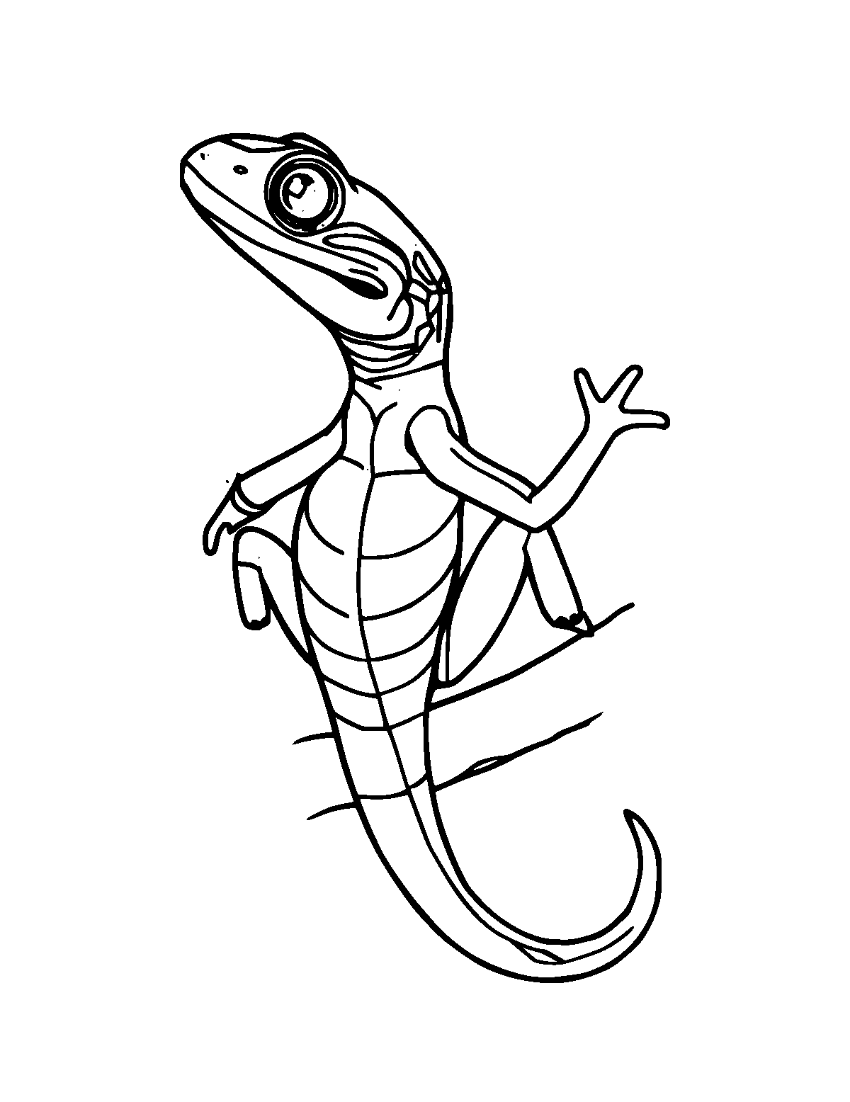 Line-art coloring page of Anole, medium outlines, centered