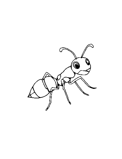 Ant